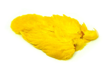 Whiting American Hen SH/C â€“ dealerweb-cms-df718351-3ffc-470d-bc6a-deec2f36dfdd.jpg