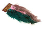 Whiting CDL Predator Pack â€“ dealerweb-cms-dfbf5d5b-13f5-4073-9a5c-4aa287065d0f.jpg