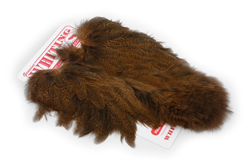 Whiting Coq De Leon Hen SH/C â€“ dealerweb-cms-e236cc54-1a63-4c9b-8001-a9984f12e614.jpg