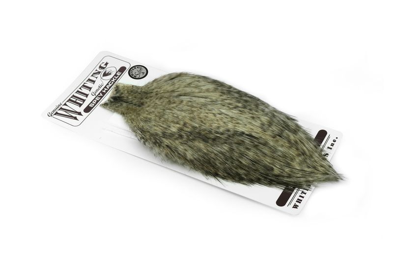 Whiting Spey Hackle Rooster Cape – Silver â€“ dealerweb-cms-e385b2a8-d721-4273-9705-3ba2687fc660.jpg