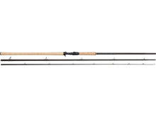 w251_w2-salmon-t_headline.jpg